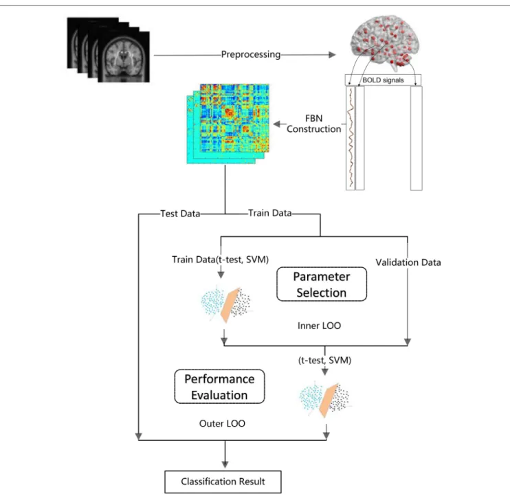 FIGURE 1 | The main procedure of FBN-based classification used in our experiment.