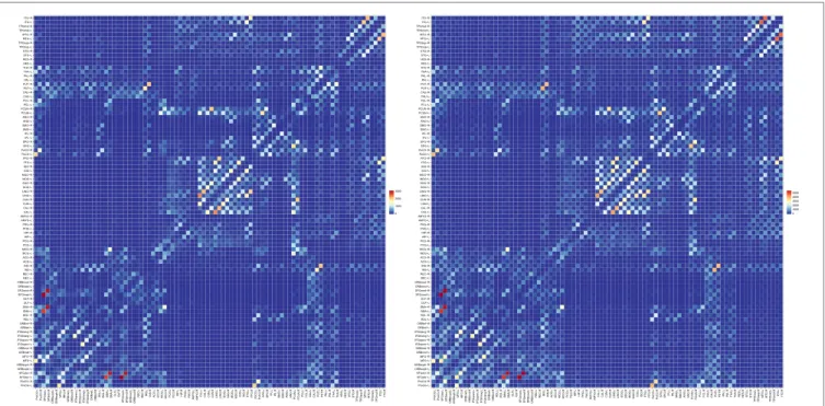 FIGURE 10 | Fiber count based connectivity network given by (left) GT and (right) PGT.