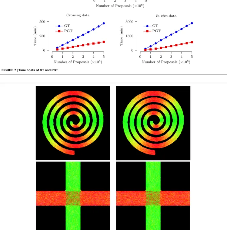 FIGURE 8 | Tractography results for synthetic data using (left) GT and (right) PGT.