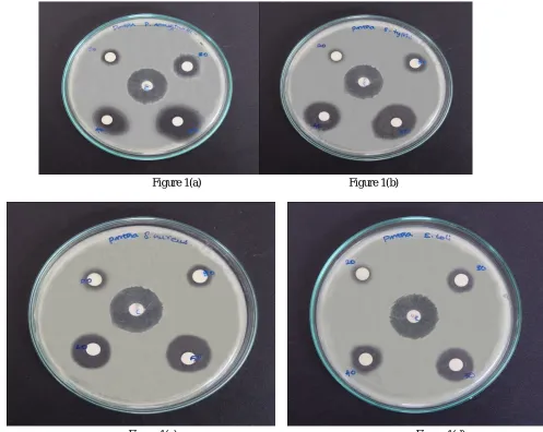 Figure 1(a) 