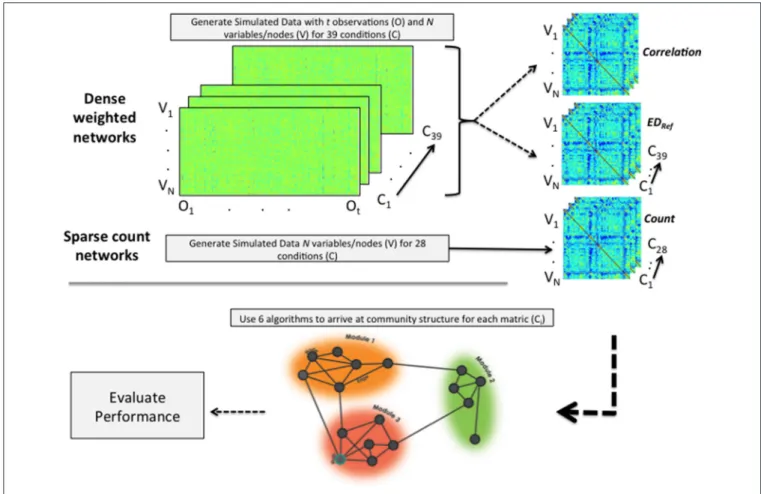FIGURE 2 | Depiction of data simulation and analytic process. For dense weighted networks, time series data are generated