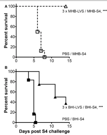 FIGURE 5 | BHI-Ft S4 appears more virulent than MHB-Ft S4 to mice immunized with MHB-LVS