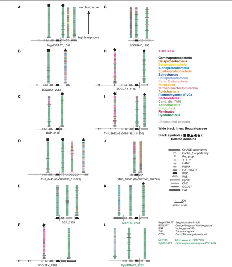 FIGURE 2 | Color-coded Tree 36 BLASTP results with cartoon representations of domain compositions