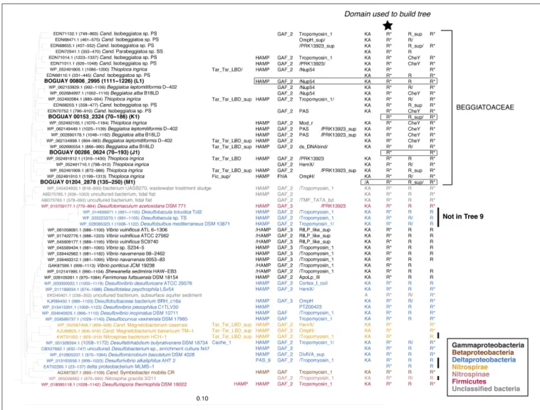 FIGURE 5 | REC domain Tree 19. See legend to Figure 1 for methods. BOGUAY domain compositions are highlighted by boxes
