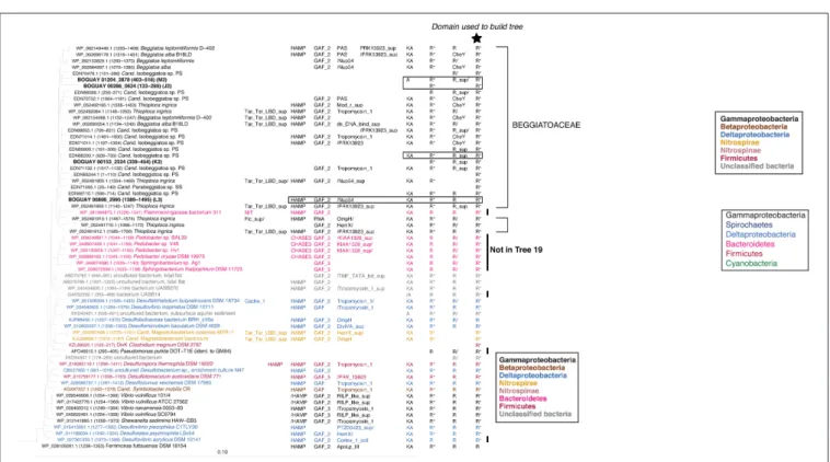 FIGURE 6 | REC domain Tree 9. See legend to Figure 1 for methods. BOGUAY domain compositions are highlighted by boxes