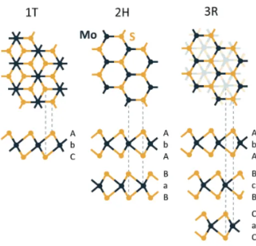 Figure 3.2: Top view and sideview of the atomic structure of the different  poly-types of MoS 2 