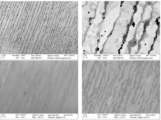 Figure 4.2: SEM images of sections of the EG (top) and QFG (bottom) samples. For EG two different magnifications are shown, for QFG both as grown (left) and after intercalation (right) are shown