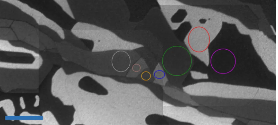 Figure 5.1: Stitched Bright Field overview of EG taken at E 0 = 2.3 eV. Here dark- dark-est areas correspond to monolayer graphene, lightdark-est to bilayer, and intermediate to higher layer count