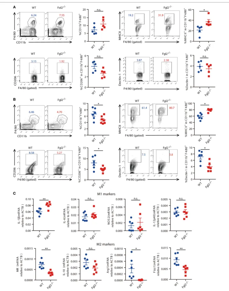 FigUre 4 | continued