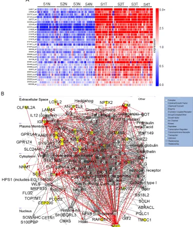 Figure 2: Gene network clustering of top hits. (A) Heatmap of the 31 gene hits identified from the high-throughput lentiviral screen