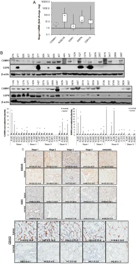 Figure 3: Functional Validation of tumor specific expression of a subset of hits identified in RCC