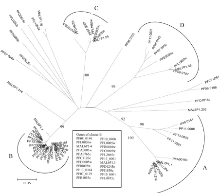 Figure 2var D were supported by both bootstrapping and maximum parsimony (MP) tree (not shown)