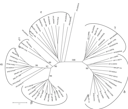 Figure 5tance/NJ methodDistance tree of all 3D7 DBLx and randomly chosen 50 DBL domains representing all DBL subtypes generated using the p-dis-Distance tree of all 3D7 DBLx and randomly chosen 50 DBL domains representing all DBL subtypes generated using t