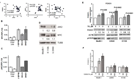 Figure 4: JAK2 and MYC contribute to FOXO1 repression in PMBL. (A) FOXO1 expression negatively correlates with MYCand JAK2 mRNA levels in PMBL samples
