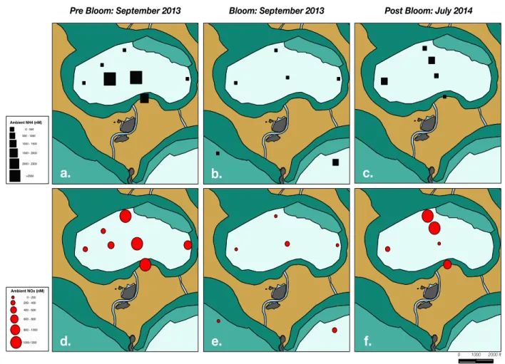 Figure 5 – Concentrations of  15 NH ! !  (a-c) and NOx (d-f) in and around Mystery Basin during  before, during, and after a Synecochoccus bloom with a sampling period between September  2013 and July 2014