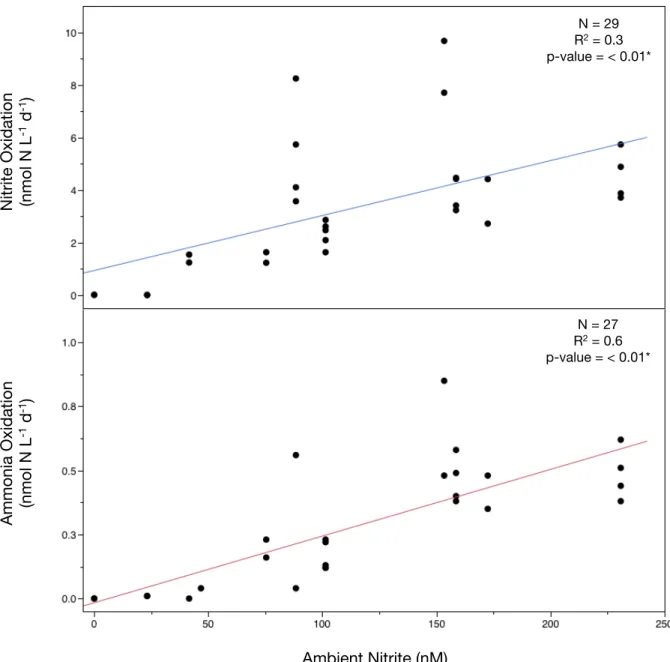 Figure 9 – Bottom graph: Relationship of ammonia oxidation rates and nitrite concentrations  (final product) for individual incubations