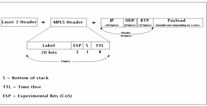 Figure 12. A standard voice packet 
