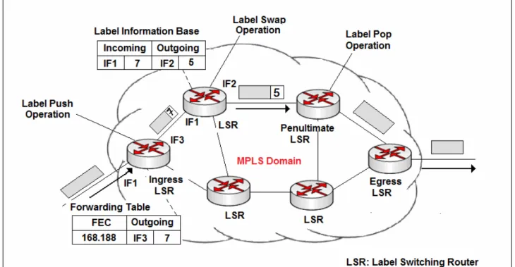 Figure 1.MPLS Label Switching  II.2. MPLS-TE 
