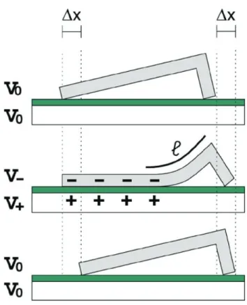 Figure 1.5 Schematic of the operation of a scratch drive actuator. At a parking voltage V 0 , the  SDA device stands without a deformation (top and bottom)