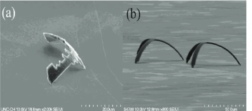 Figure 2.8 Two types of devices standing on flat HOPG surfaces. (a) 'Wing' type device for  this chapter