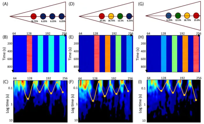 Fig. 1.3: Simulations with islands of varying binding affinity. 