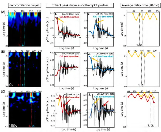Fig. 1.6: Gaussian analysis of pair correlation carpets to extract average delay time(s) Rac1  takes to diffuse along simulated and in vivo line scans