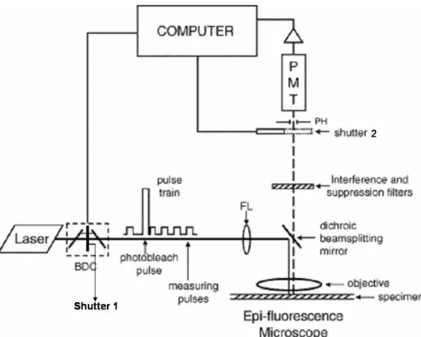 Fig. 2. Instrument schematic BDC: Beam divider and recombiner (see  text).  