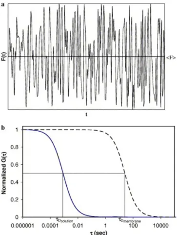 Fig. 3. Simulated fluorescence intensity raw data and calculated  normalized aoutocorrelation function, G(τ)