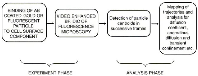 Fig. 4. Overall schematic of an SPT experiment. 