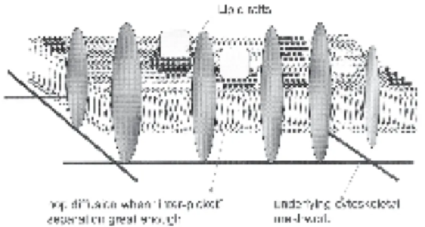 FIG. 7. Fence and picket structure of the plasma membrane model  proposed by Ritchie et al
