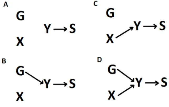 Figure 3.2: Directed acyclic graphs representing possible relationships between the ascertainment (S), the pri- pri-mary phenotype (Y), the secondary phenotype (X) and the genetic marker (G)