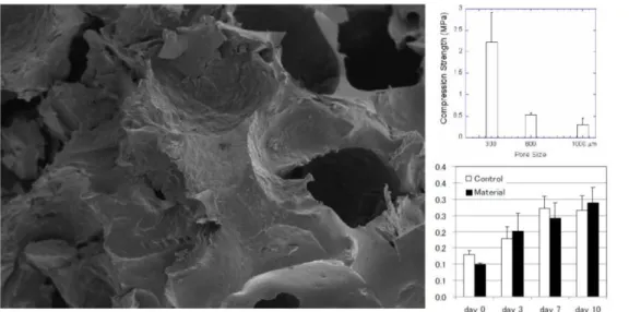 Figure 1.6 (Left) SEM  image of porous 