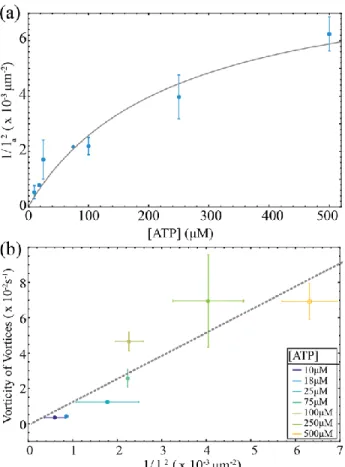 Figure 6: Dependence of the active stress on the ATP concentration. (a) The estimate of the the active  stress, 1/
