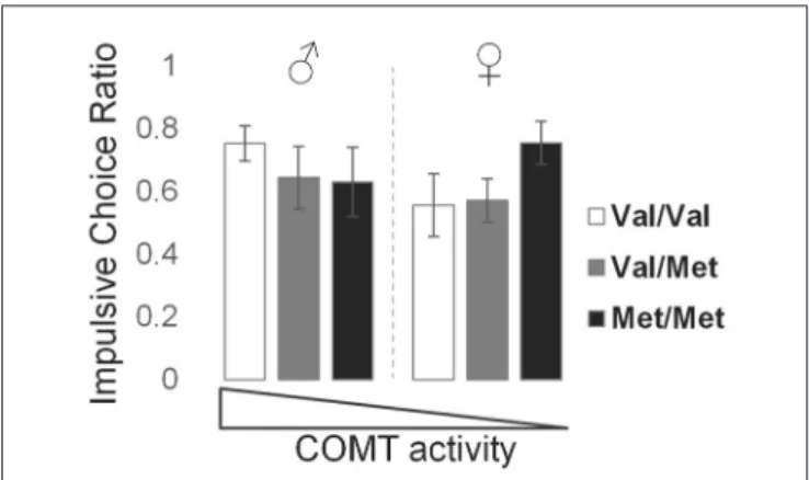 FIGURE 2 | Effects of COMT genotype and sex on impulsive choice during a delay discounting task