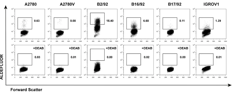Figure 1: Screening of various ovarian cancer cell lines for ALDH+ subsets. Cell lines were stained for ALDH enzymatic activity and analyzed by flow cytometry
