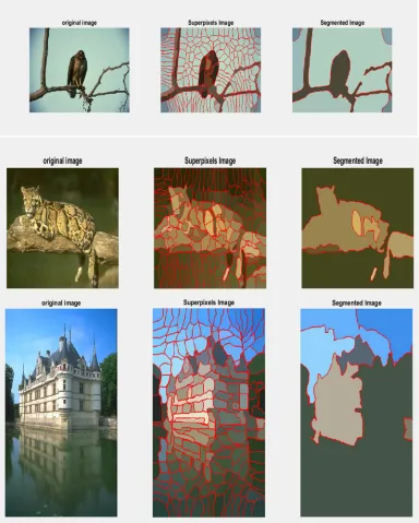 Fig. 5 Image segmentation results of our proposed algorithm 