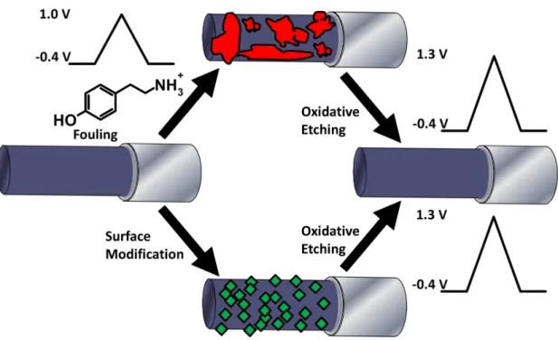 Figure 1.2.  Effect of oxidative etching on the surface of carbon electrodes. 