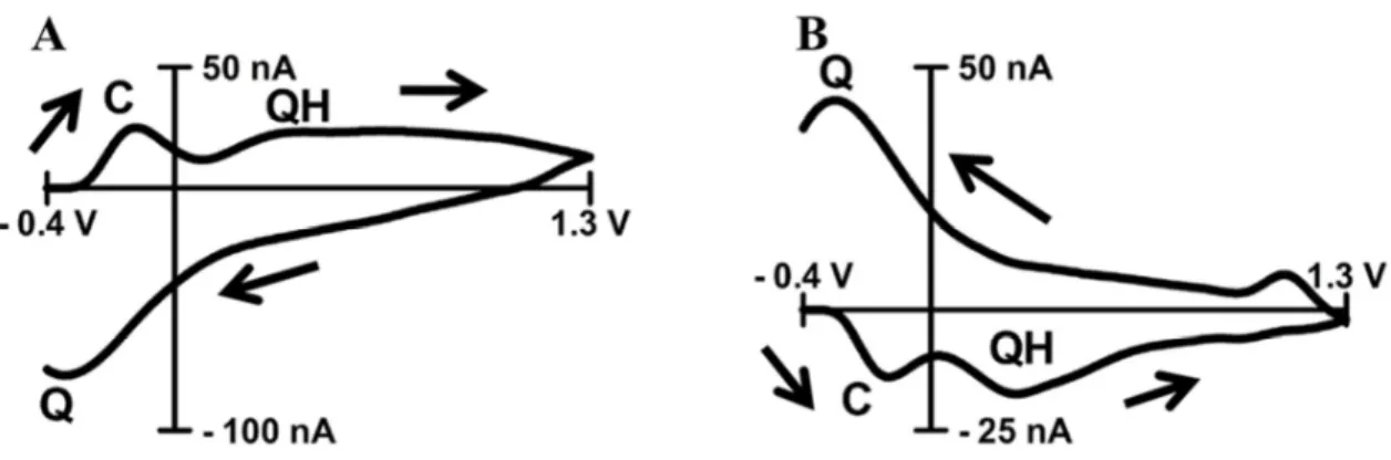 Figure 3.1.  Background subtracted cyclic voltammograms of pH shifts. 