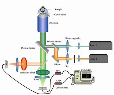 Figure 1.1 Example optical train for a SMD system.  With many fragile components,  including 532 nm and 650 nm lasers, and precise alignment required for accurate  measurements; this type of system is not adapted to portable, rugged applications