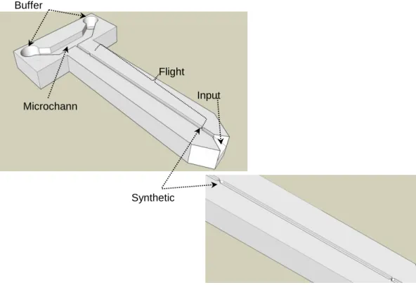 Figure 2.1 Computer assisted design image of the basic sensor geometry with  important structures labeled