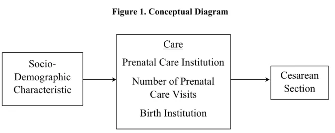 Figure 1. Conceptual Diagram 