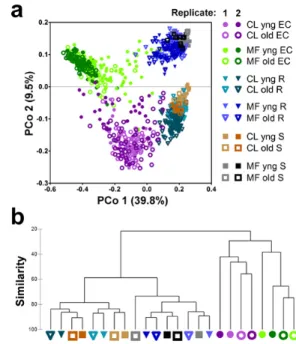 Figure 2.2: Sample fraction and soil type drive the microbial composition of root-associated endophyte  commu-nities