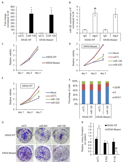Figure 2: Over-expression of miR-126 increases the G1 compartment in KRAS-Mutant cells