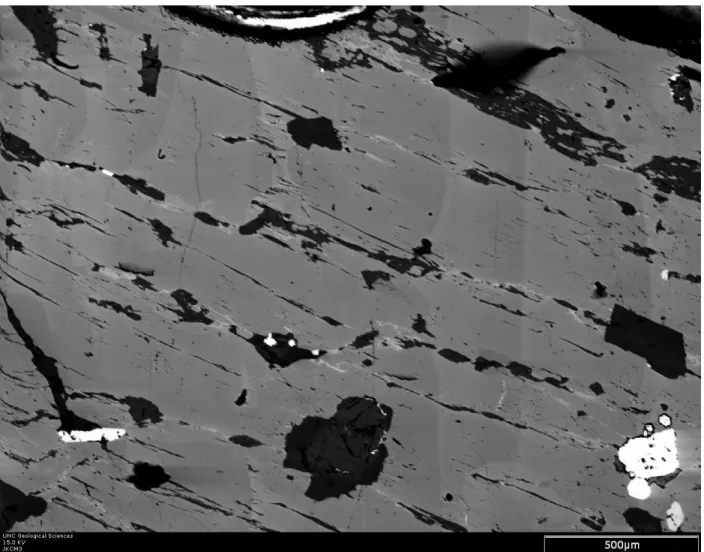 Figure 3: Backscattered electron image of megacrysts JKCM3. Gray-scale brightness is positively  correlated with Ba concentration (Johnson and Glazner, 2010)