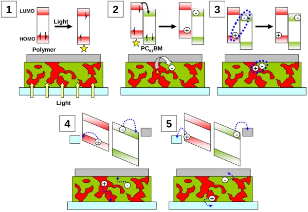Figure 1.5. Summary of the five phases involved in power generation in polymer photovoltaic cells