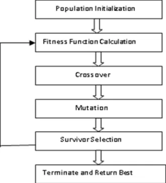Fig.  2: Process of Evolutionary Computation 