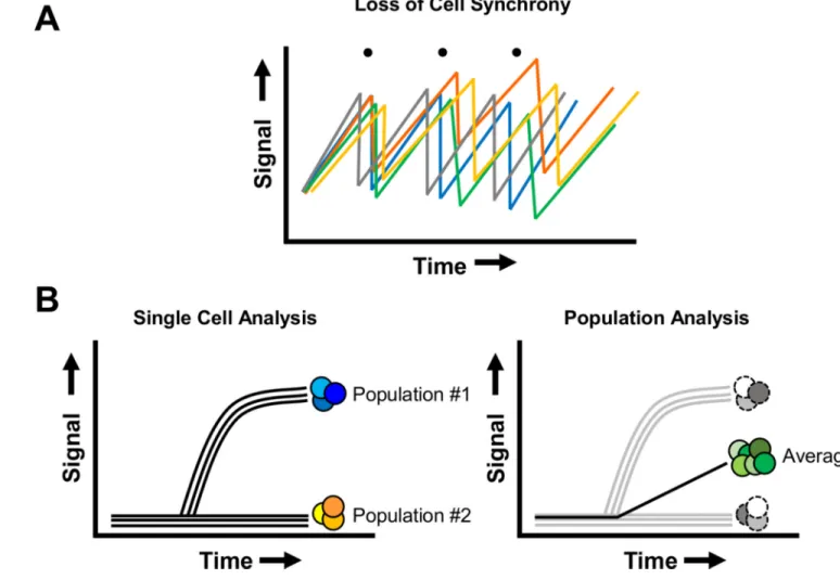 Figure 1. Advantages of single cell analysis