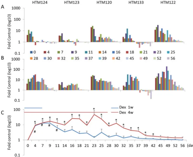 Figure 2. Quantitative analysis of MYOC protein secretion by five HTM cell strains over time  during and after Dexamethasone (Dex) treatment