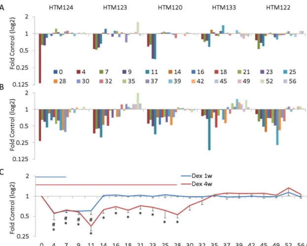 Figure 3. Quantitative analysis of MMP2 protein levels in conditioned media from five HTM cell  strains