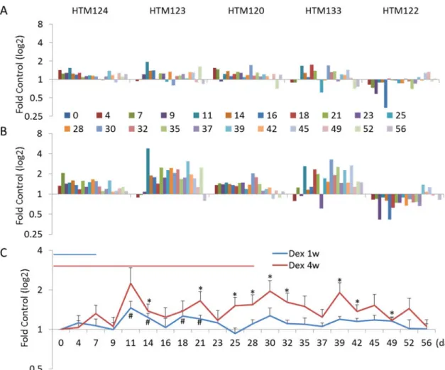 Figure 5. Quantitative analysis of FN protein levels in conditioned supernatant from five HTM  cell strains